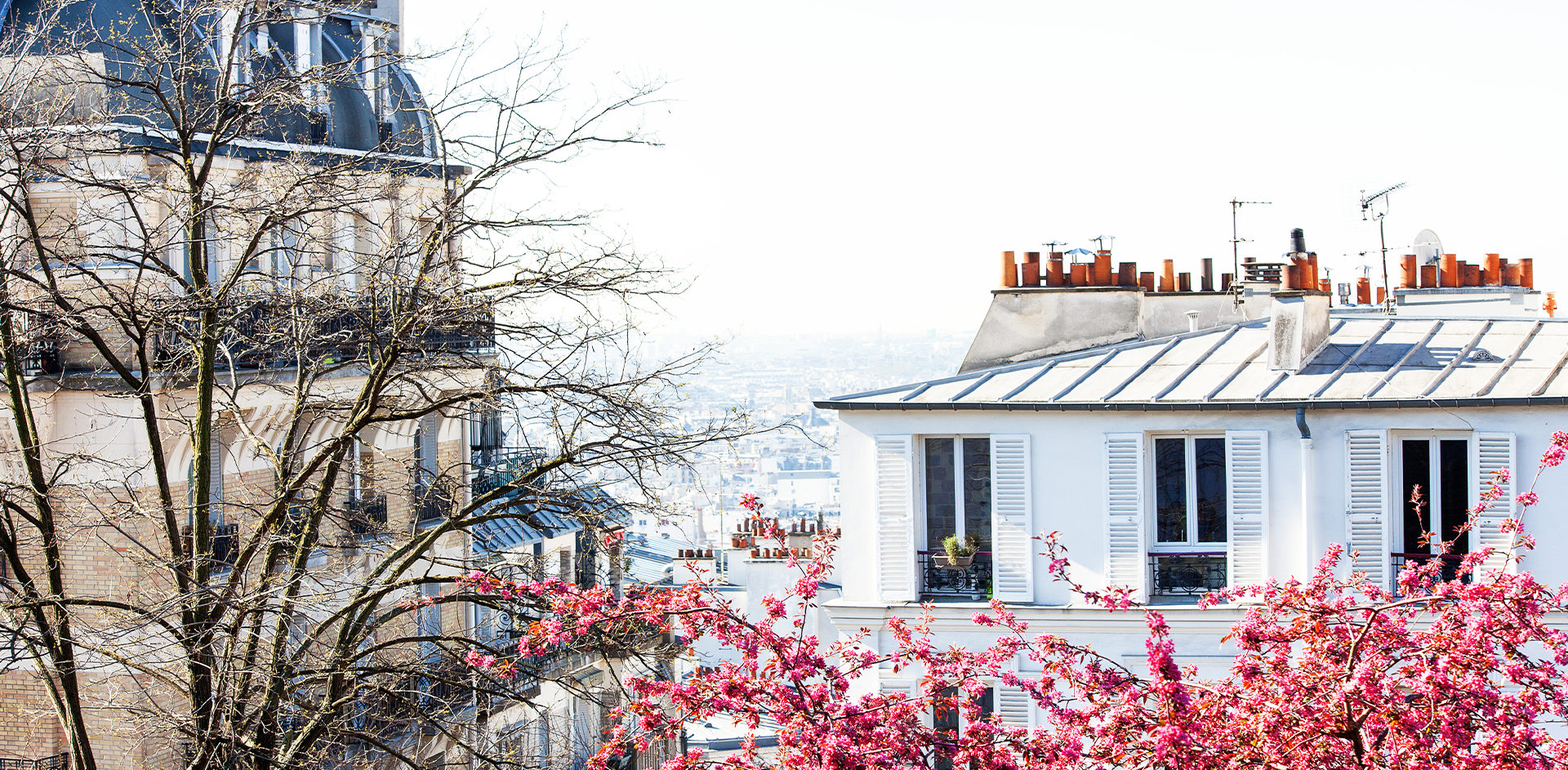 Haussmann Paris fleurie