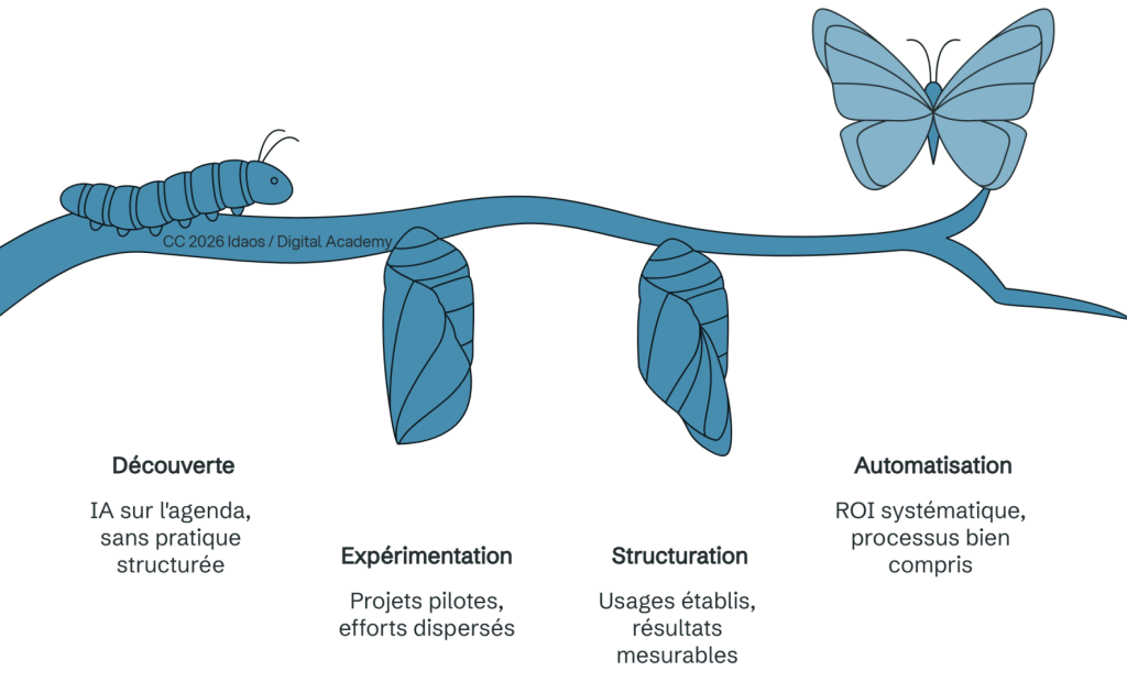Illustration en forme de métamorphose montrant les 4 étapes de maturité IA : découverte (chenille), expérimentation et structuration (chrysalides), automatisation (papillon)